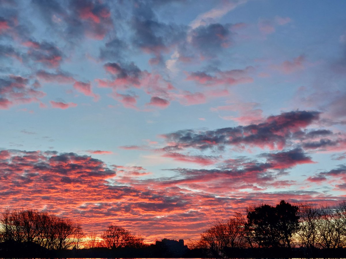 Fettes Humanities tweet media