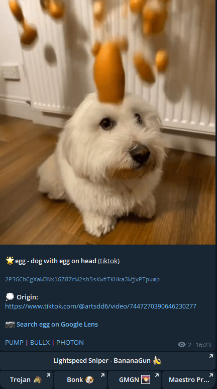 $egg - dog with egg on head
🚀 6k → 800k (130x) at ATH

The original ticker came from a Tiktok video.
Detected by OG Narratives Tracker

2P3GCbCgXaWJNx1GZ87rW2sh5sKwtTKHkaJWjxPTpump

⏩ Visit us: t.me/orion_hub 
🎟 Premium: t.me/orion_hub/11