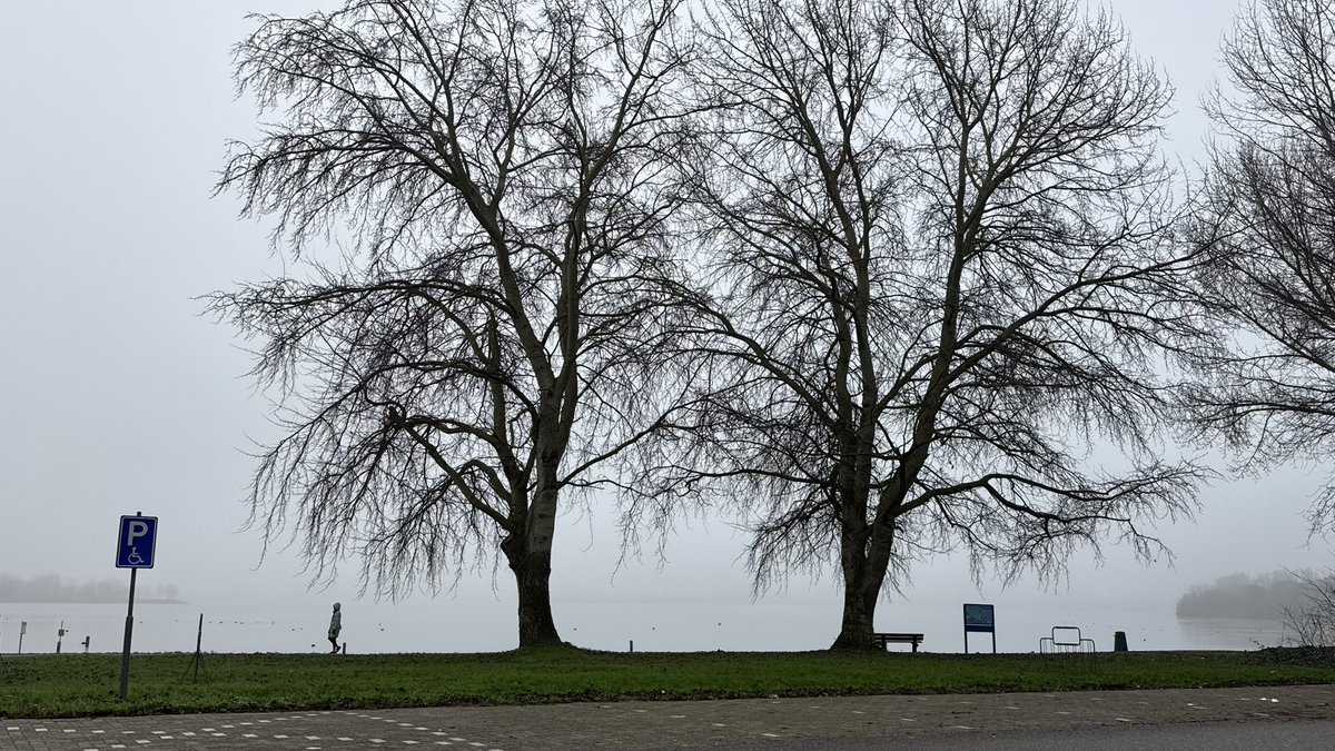 weerverteller's tweet image. De winter van 2025 heeft zijn eerste kansen vakkundig verprutst. Vanaf nu ziet het er weinig kansrijk uit. We moeten tot later in de winter geduld hebben. weerverteller.nl/verhalen/winte… #winter2025 #kansen #verprutst #westcirculatie

Foto: Ab Donker en Jolanda Bakker.