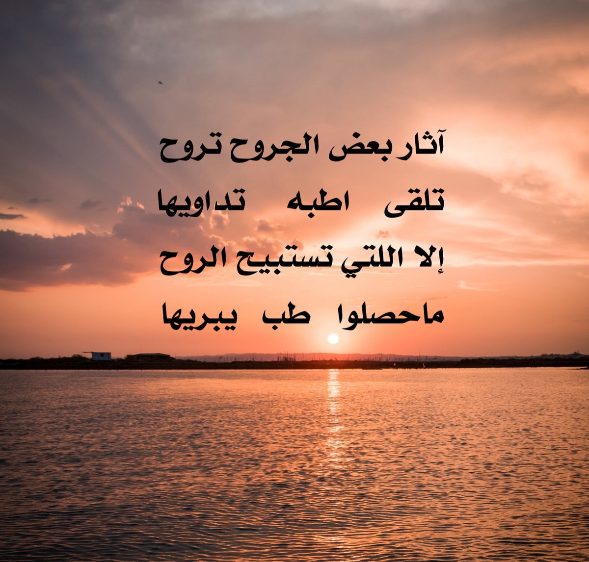 جديدنا :-
