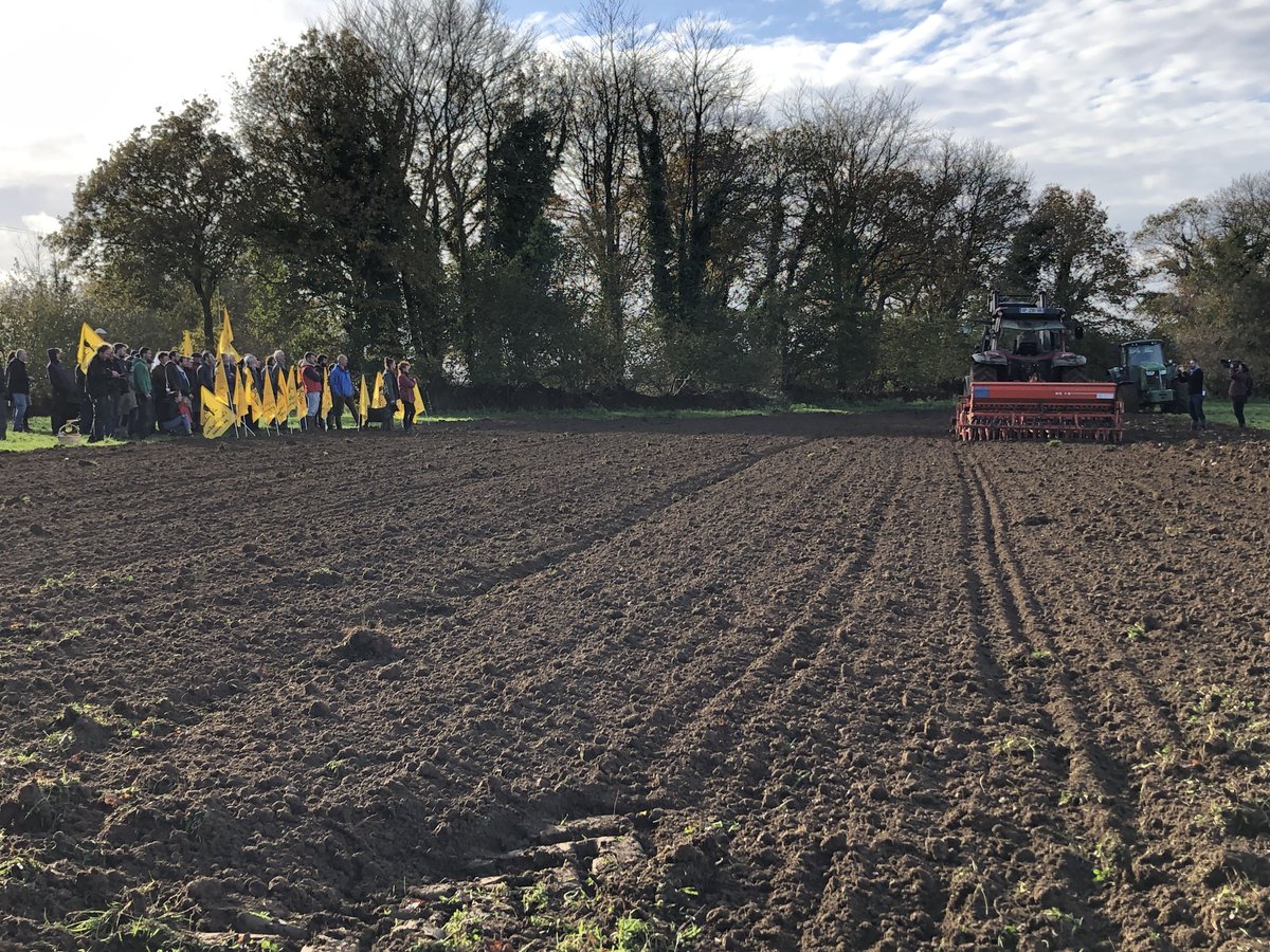 Sophie Chapelle tweet media