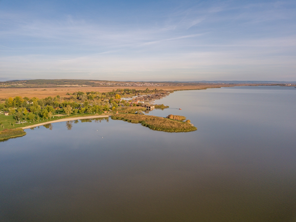 RestEcologyHU's tweet photo. #ECOLRESforNRL
Day 9 #wetlandrestoration
Restoring inland alkaline soda water shorelines: methods can be adopted from the management of intermittent waters. A 2024 study supports #ecologicalrestoration of the globally endangered #wetland habitat type.
https://t.co/X58wu2w4gi
#RestoreNature