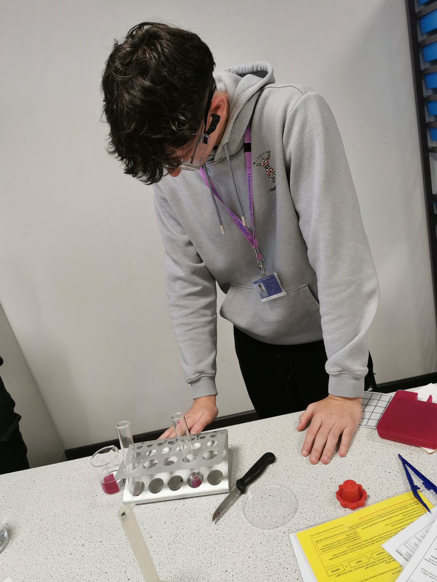 UckColl_Science's tweet photo. Yesterday Y12 Biologists investigated surface area to volume ratio and diffusion with colour changing cubes to understand why complex organisms need to have transport and exchange systems. @UckfieldCollege #uckfieldcollege #lovelearningforlife https://t.co/jIi0roaqlI