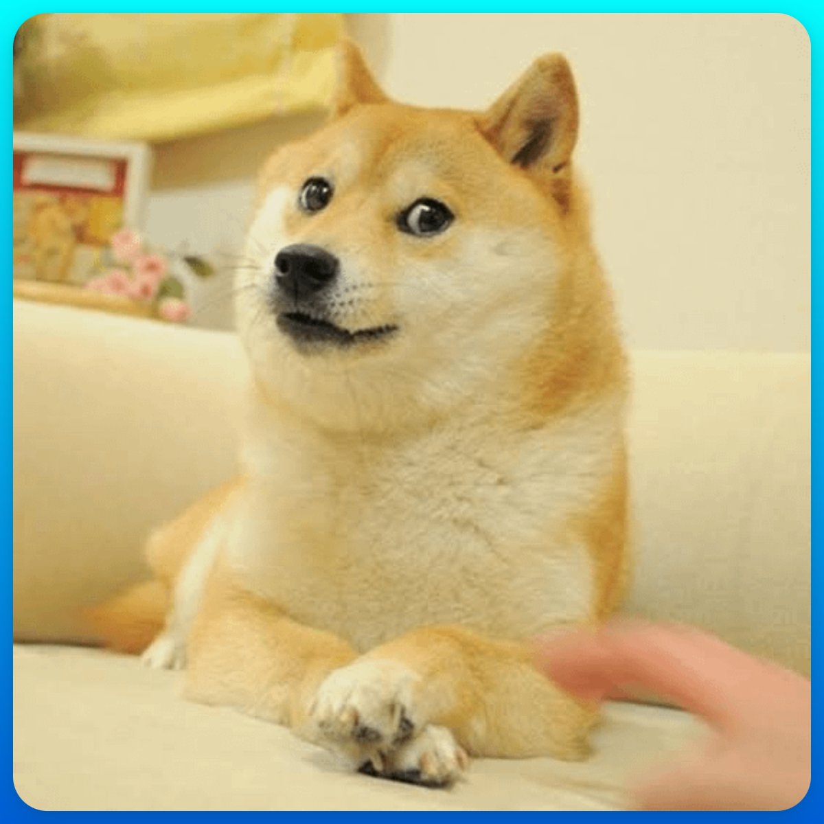 🐶 เหรียญมีมอันดับ 1 ของโลก $DOGE
ทำไมเหรียญมีมนี้ถึงปัง แค่ความสนุก ทำไมไปสุดที่ระดับโลก

$DOGE เกิดจากใคร สร้างมาทำไม แล้วทำไมถึงปัง
แล้วปีนี 2024-2025 $DOGE น่าจับตาขนาดไหน

เรานั่ง Research มาหลายวัน ขอสรุปสั้นๆให้ฟังแบบนี้ 👇