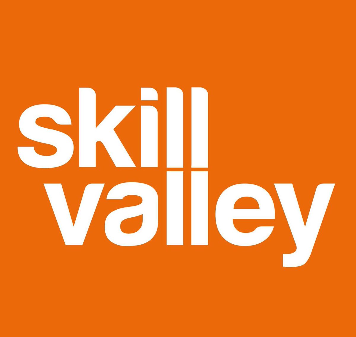 Skillvalley tweet media