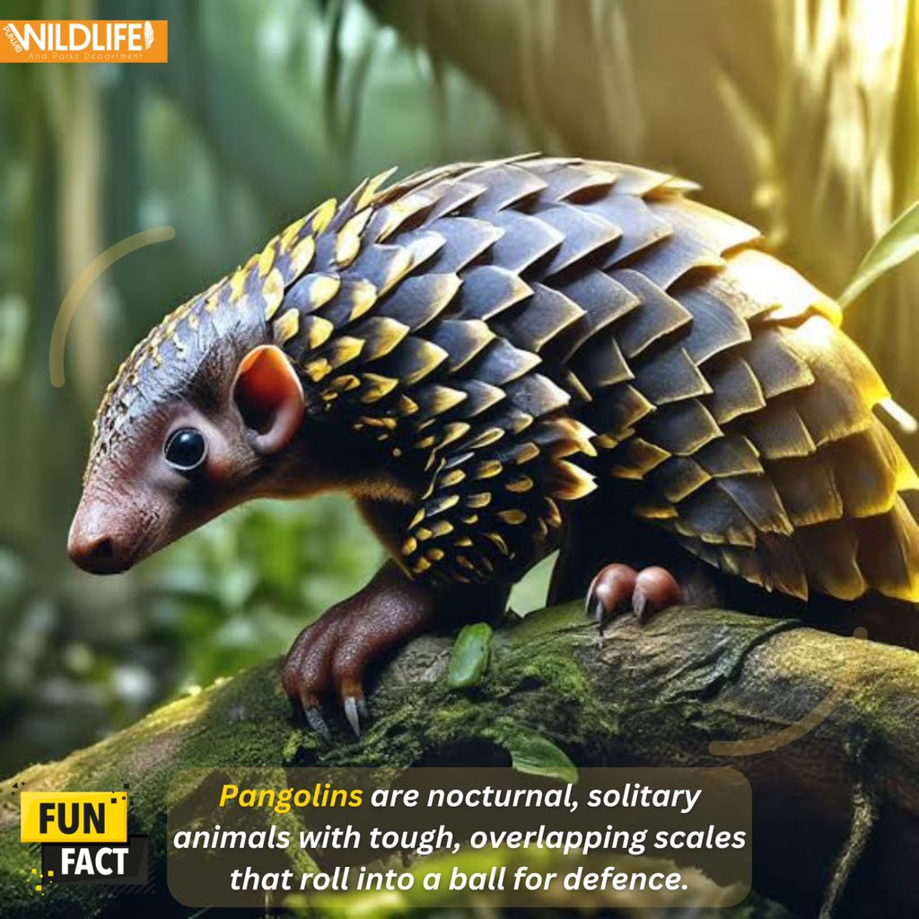 Punjabwildlife_'s tweet image. Did you know?💡
.
.
#funfact #factpost #factualinformation #fypシ゚