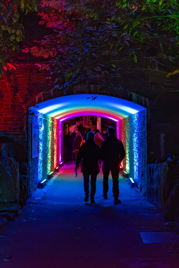RHS_Rosemoor's tweet image. ✨1-2-3 Glow! We only have a handful of off peak tickets left for tonight so be quick if you're planning on coming to #RHSGlow and pre-book online now to avoid disappointment 💫 
rhs.org.uk/gardens/rosemo…
#NorthDevon #SellingFast #HotTicket #DontMissOut