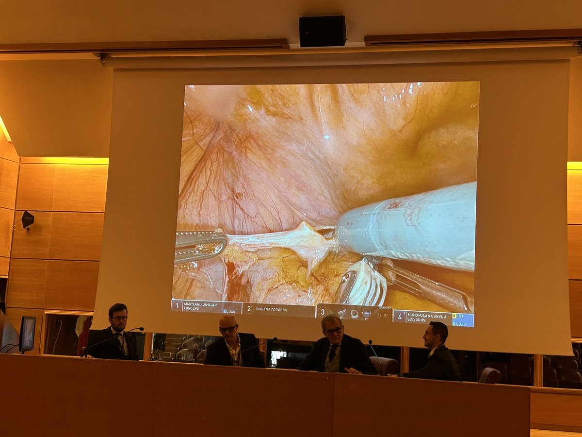 Piergustavo De Francesco (@piergustavodott) on Twitter photo Great robotic radical cistectomy in Chieti in the first masterclass in this field by <a href="/aleantonellibs1/">Alessandro Antonelli MD FRCS(Glasg)</a> and <a href="/RicBertolo/">๐๐๐๐๐๐ง๐๐ค ๐ฝ๐๐ง๐ฉ๐ค๐ก๐ค MD PhD</a> <a href="/univUda/">Ud'A</a>
<a href="/marchionimic/">Michele Marchioni</a> <a href="/f_berardinelli/">Francesco</a> Great robotic radical cistectomy in Chieti in the first masterclass in this field by <a href="/aleantonellibs1/">Alessandro Antonelli MD FRCS(Glasg)</a> and <a href="/RicBertolo/">๐๐๐๐๐๐ง๐๐ค ๐ฝ๐๐ง๐ฉ๐ค๐ก๐ค MD PhD</a> <a href="/univUda/">Ud'A</a>
<a href="/marchionimic/">Michele Marchioni</a> <a href="/f_berardinelli/">Francesco</a>