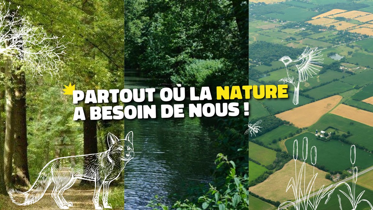 🌿 Depuis 50 ans FNE Île-de-France et ses 400 assos se battent pour l’environnement francilien. Nous avons besoin de vous pour poursuivre nos combats !

🙌 Soutenez nos actions et bénéficiez de 66% de Réduction Fiscale. Donner 50 € revient à donner 17 € helloasso.com/associations/f…