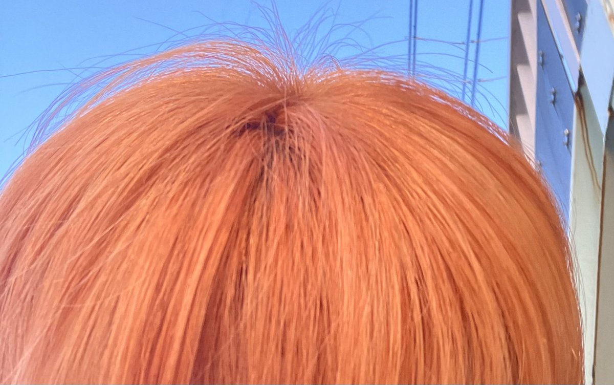 オレンジに生まれ変わった 