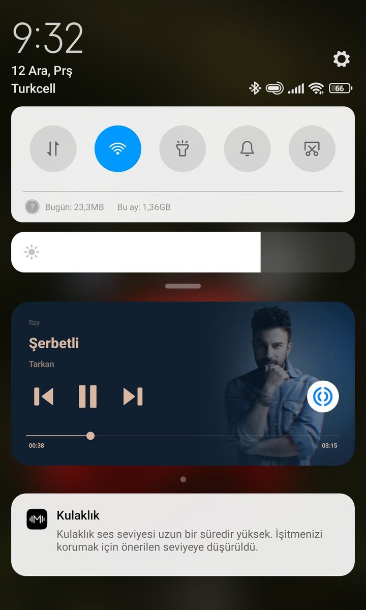 Telefonun bile dikkatini çekti ama bu şarkı düşük ses dinlenmez ki #şerbetli #tarkan