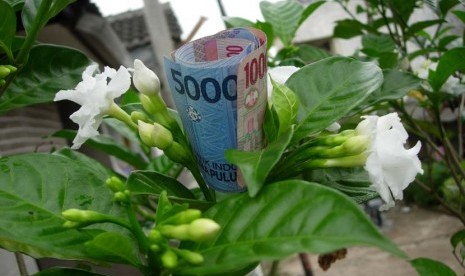 peritwinkIes's tweet image. semoga tumbuh bunga bank di sela-sela retakmu