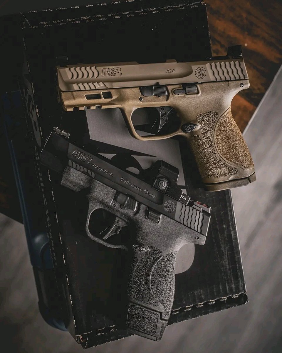 Smith and Wesson Inc tweet media