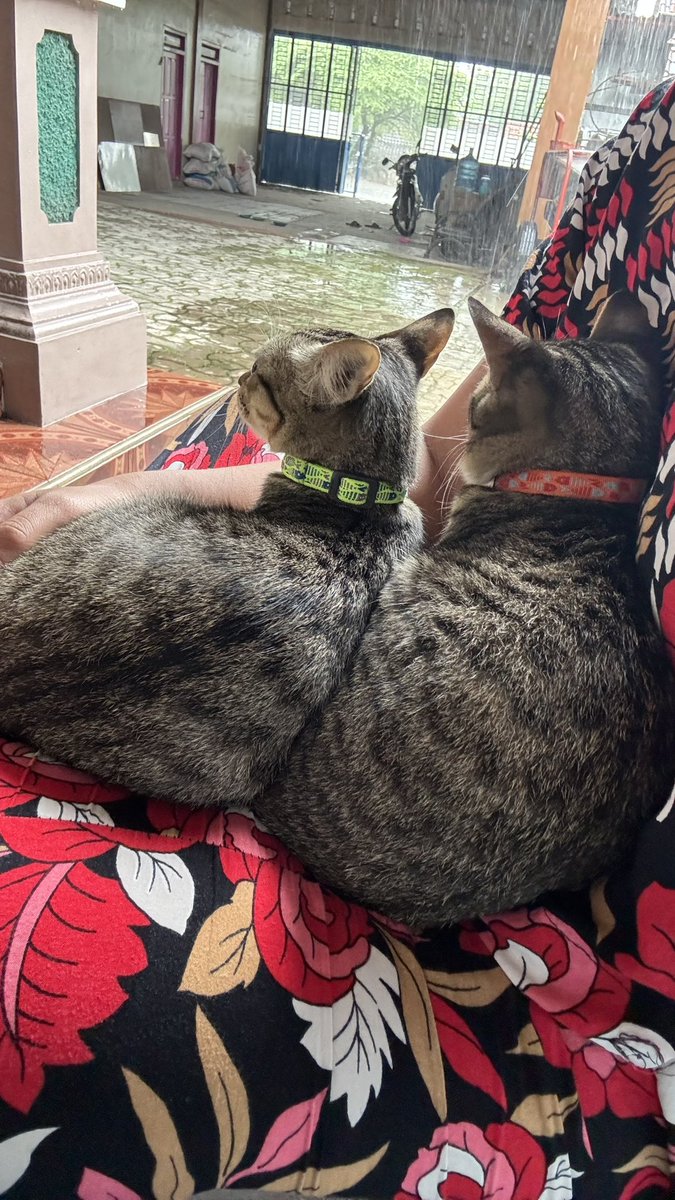 Hujan-hujan lucu sekaliii