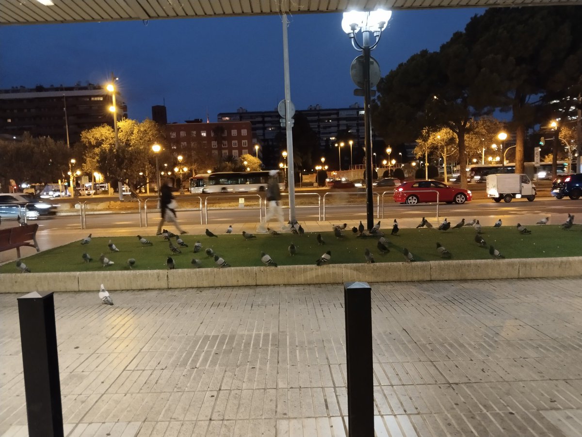 Sentint <a href="/rac1/">RAC1</a> <a href="/elmonarac1/">El món a RAC1</a>  recupero una imatge que es repeteix cada matí davant el <a href="/elcorteingles/">El Corte Inglés</a> de la Diagonal. La foto és antiga però la situació encara vigent. Seguim igual <a href="/bcn_ajuntament/">Ajuntament de Barcelona</a> <a href="/BCN_LesCorts/">Les Corts</a>