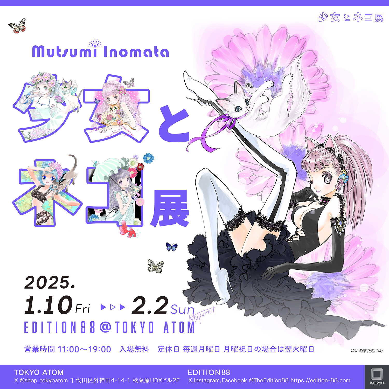 いのまたむつみ (@inomatanekomata) / X