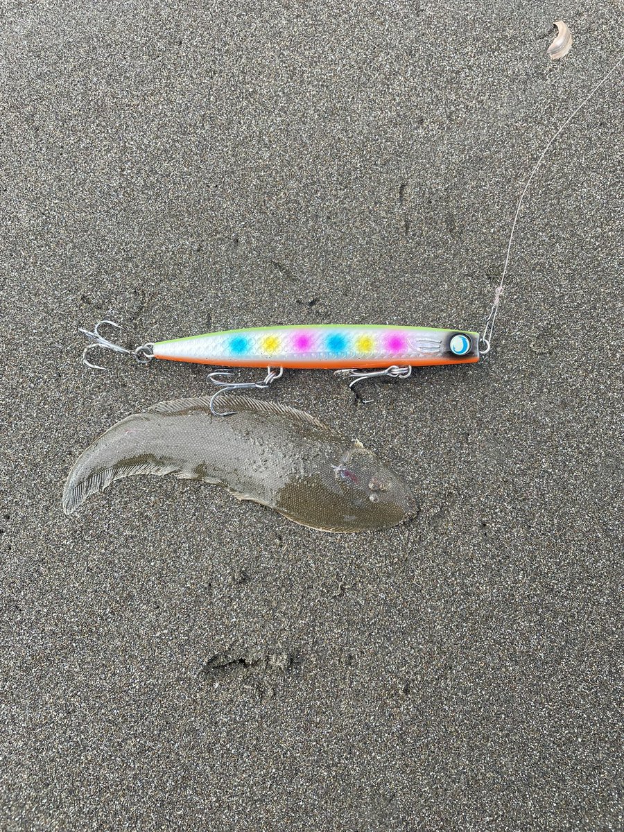 今年は、今日で釣り納め🎣💦
白里メインだったけど中々厳しかったなぁ😭
来年からは、色んなサーフ巡ってみよう🚙