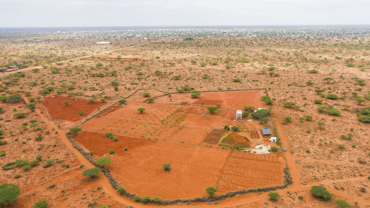 NRC_EAY's tweet photo. #Somalia: “Seeing the crops grow gives us hope & self-reliance,” says Abdi, a member of farmer cooperative in Guriel town. Through the #OASISProject under #BRCiS, we provided seeds, tools, training & solar-powered irrigation to empower farmers. Thanks to @EU_in_Somalia. https://t.co/e2X3RlhU5f