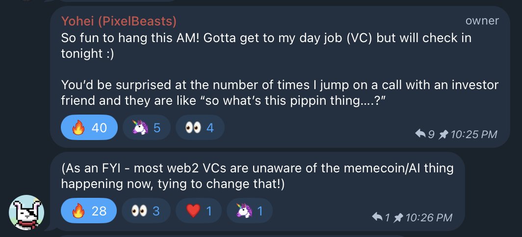 Probably nothing. Those who know, know.

$PIPPIN