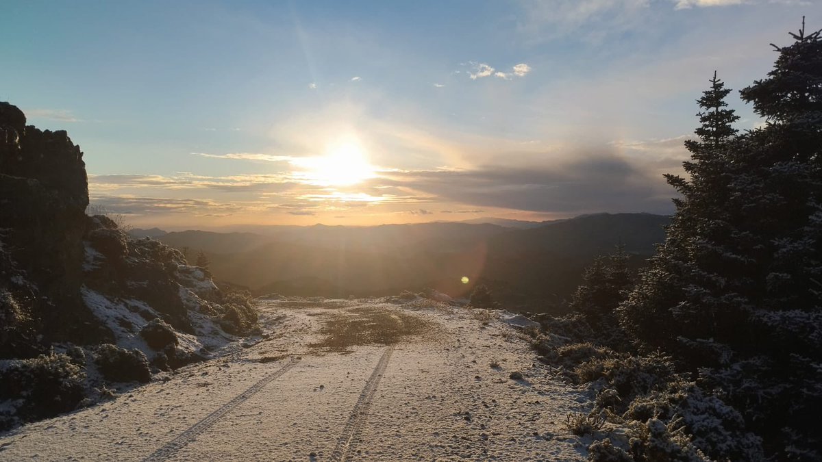 MedioAmbAND's tweet image. ❄️ ¡Los primeros copos de nieve ya han caído en la Sierra de las Nieves! 

🌨️🌲 #Andalucía nos regala un paisaje mágico en este Parque Nacional, símbolo de nuestra riqueza natural.

#SierraDeLasNieves #RevoluciónVerde