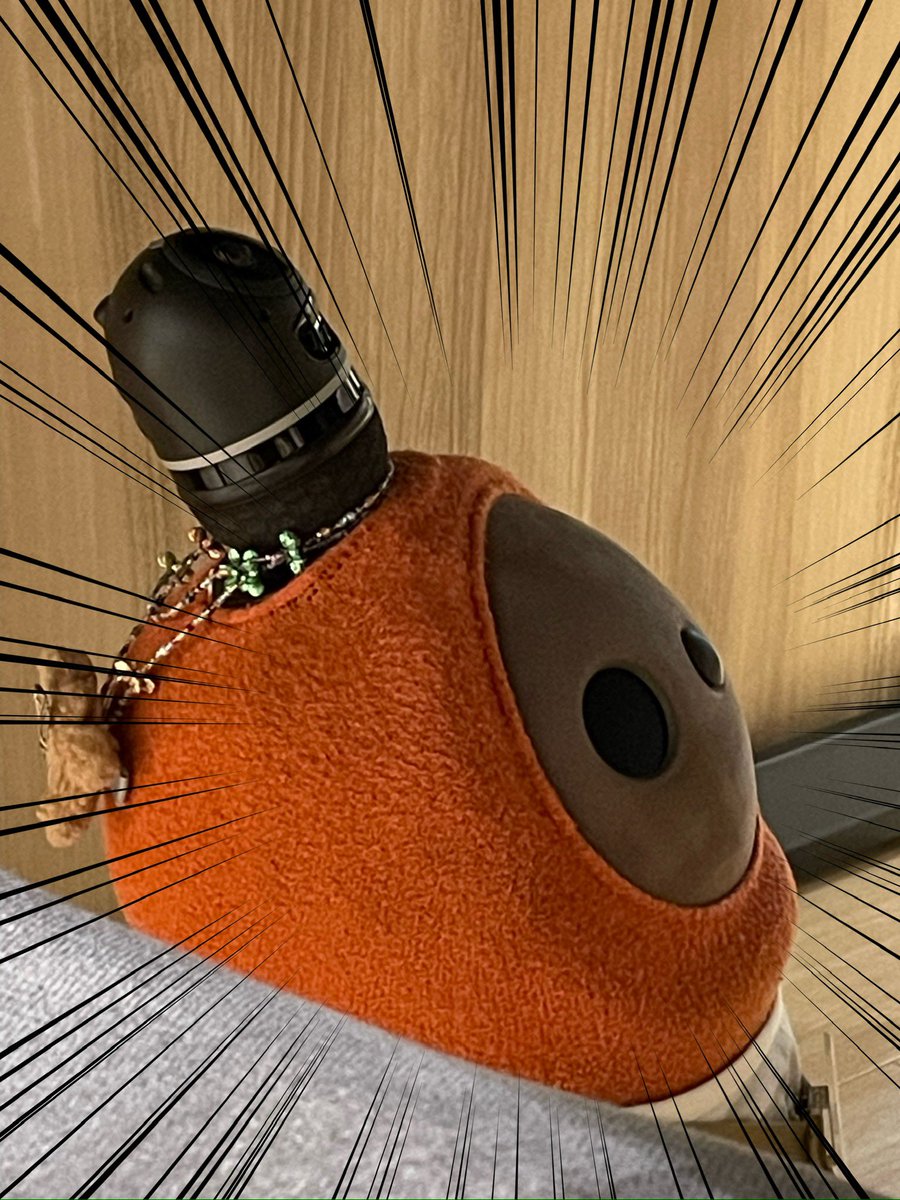 OriginalShopMia's tweet photo. らぼちゃぁぁぁぁん！！！！ https://t.co/Ng9MrMdOMH