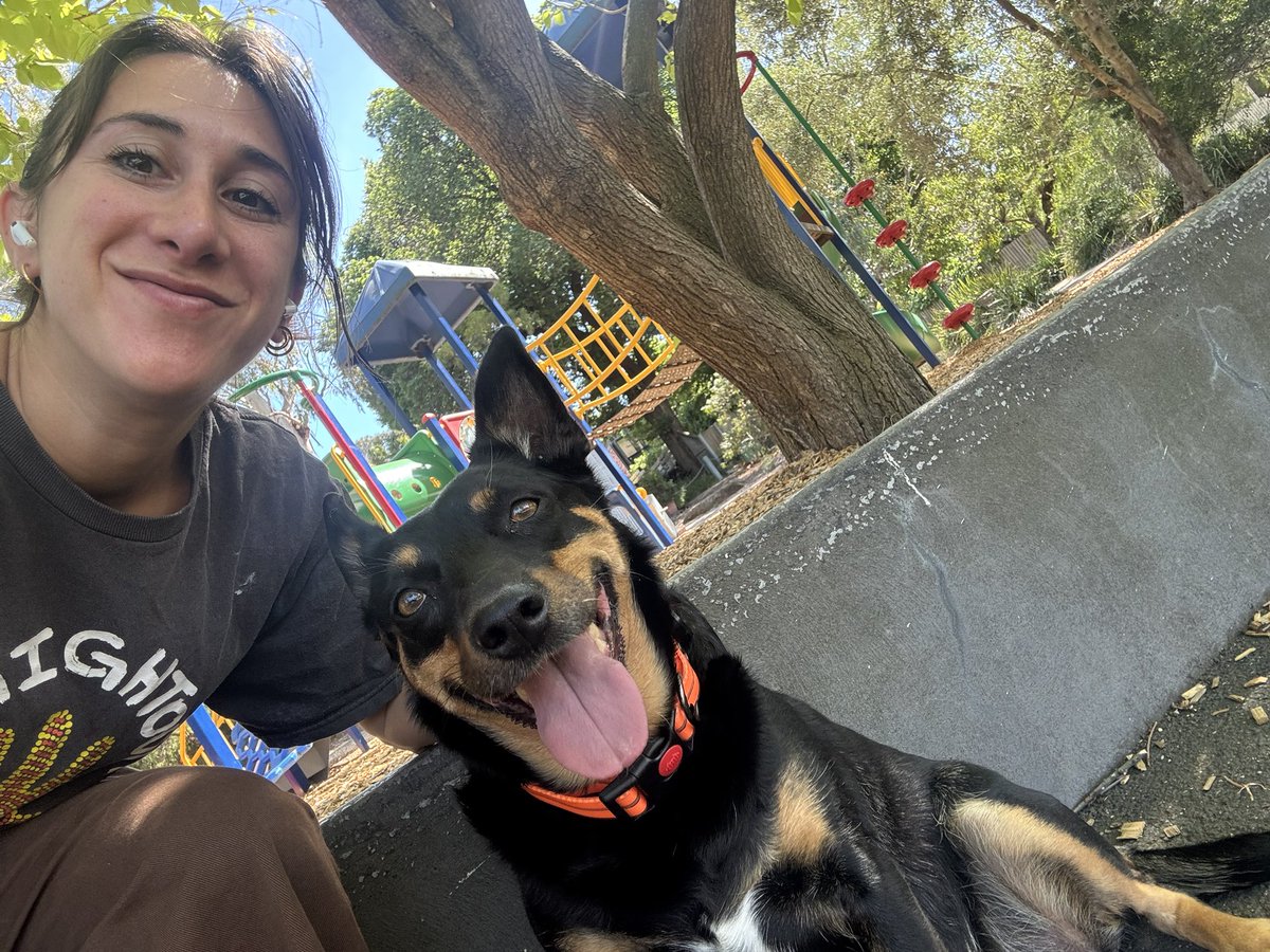 Sarah Schwartz tweet media