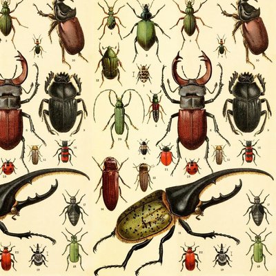 Epicartworks's tweet image. 