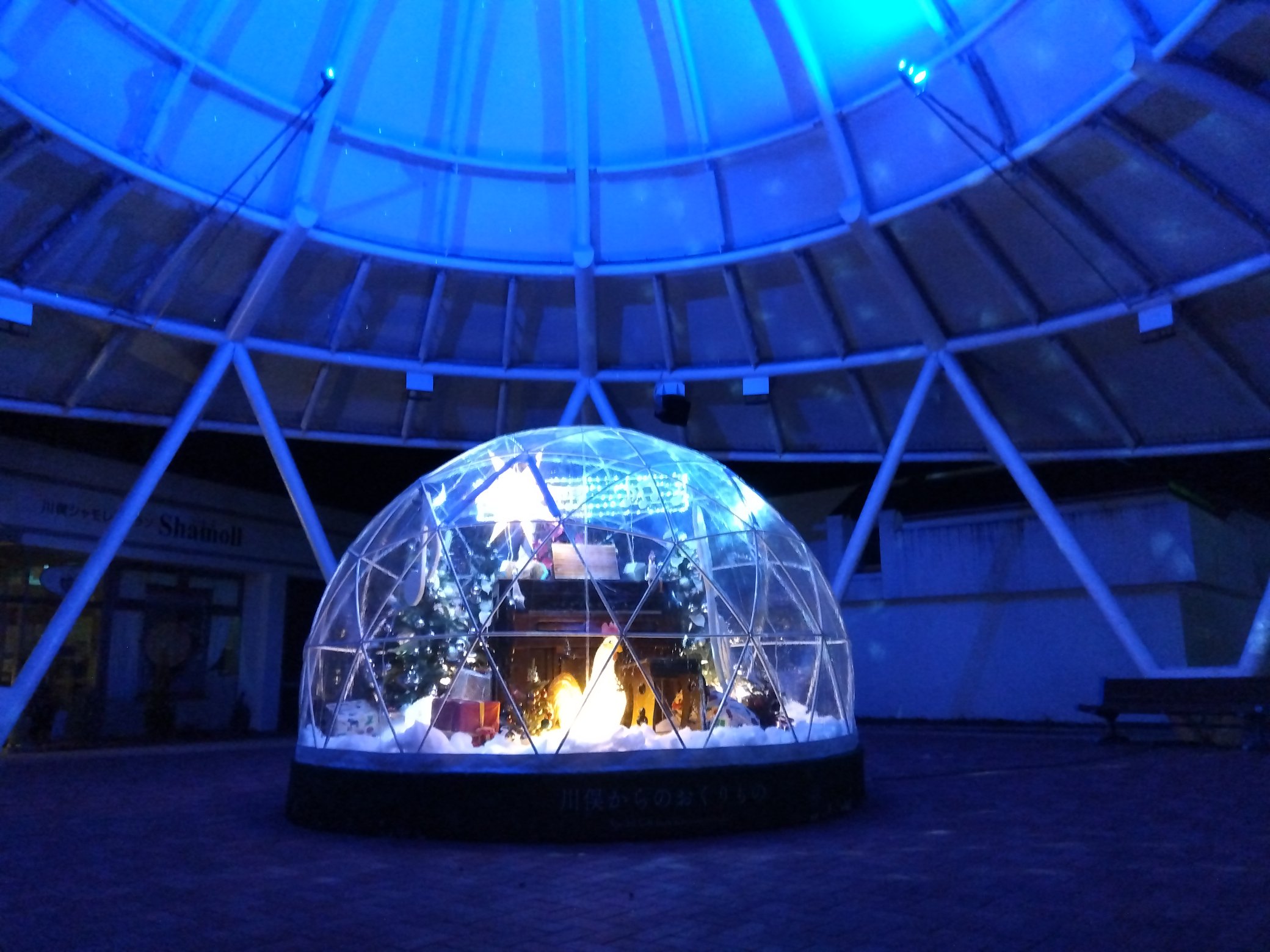 スノードーム ゆき満ちて 【公式通販】