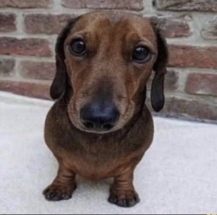 _enovyart's tweet image. Dude is allegedly against racism but is fan base is the #klan I’m crying