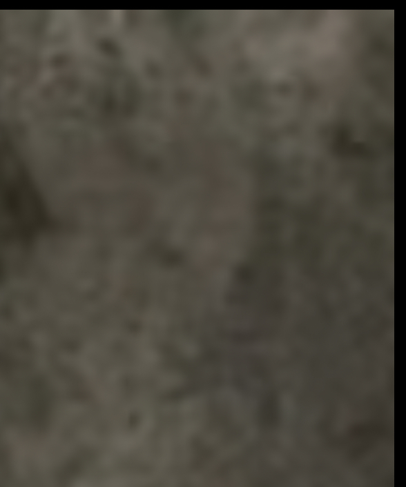 VCKSODAH1 tweet picture