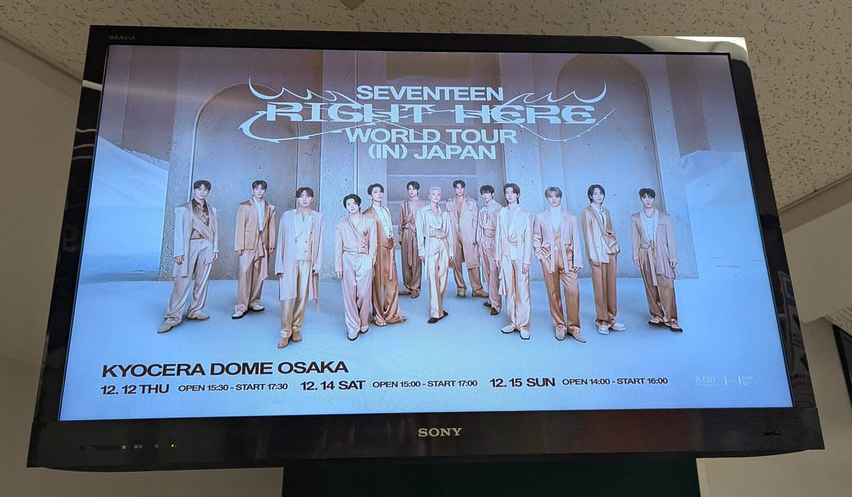 haohaohao_pi's tweet photo. 大阪着いたー！！プロペラ横でずーっと振動しててしんどかった…
けどスタンド注釈近いしステージ見やすそうで嬉しい🩷🩵
チケシェアで譲ってくださったCARATさんありがとうございます😭
相変わらずハオちゃん美しい🐸✨️ https://t.co/GgmM01RqcW