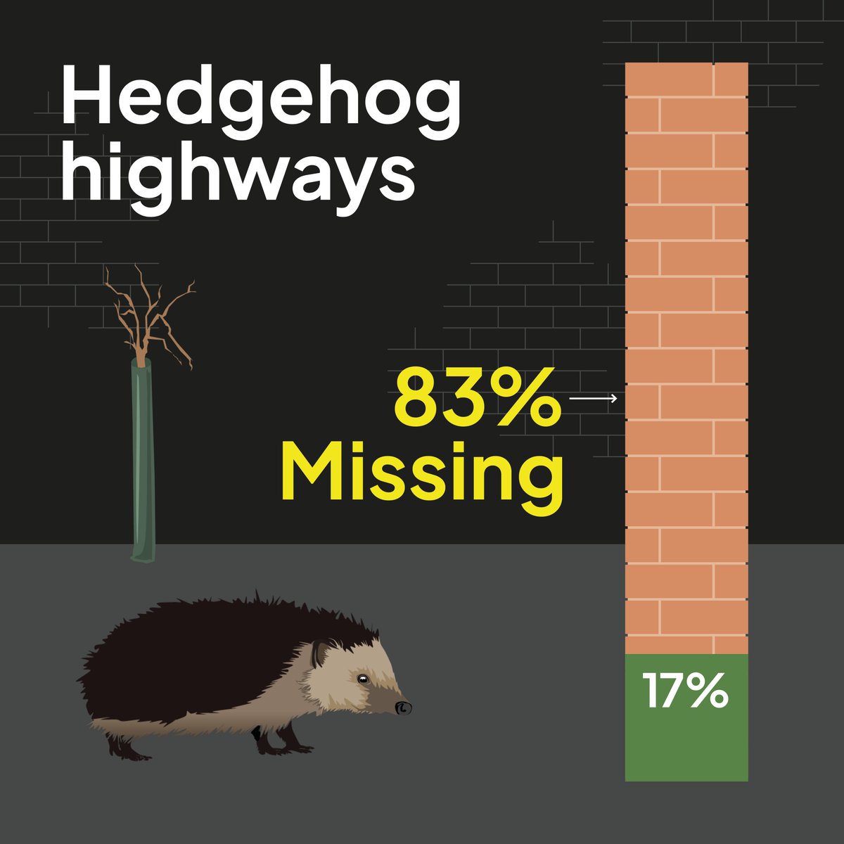 Hedgehog highways involve leaving accessible holes and tunnels between properties, allowing Hedgehogs to move freely to find food, water and mates.

But we found 83% of the ones developers said they'd install were missing.
4/8