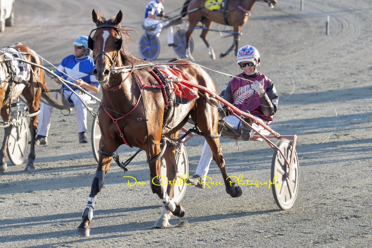 Dan Costello (@danracingwrap) on Twitter photo Last for the day <a href="/redcliffe_hrc/">Redcliffe Harness Racing Club</a> & Ideal Assassin with <a href="/garrard_angus/">Angus Garrard</a> go 'Coast To Coastin winning for trainer <a href="/RileyButt6/">Riley Butt</a> @TRButtRacing <a href="/chapeauxx/">Alan Aitken</a> Last for the day <a href="/redcliffe_hrc/">Redcliffe Harness Racing Club</a> & Ideal Assassin with <a href="/garrard_angus/">Angus Garrard</a> go 'Coast To Coastin winning for trainer <a href="/RileyButt6/">Riley Butt</a> @TRButtRacing <a href="/chapeauxx/">Alan Aitken</a>