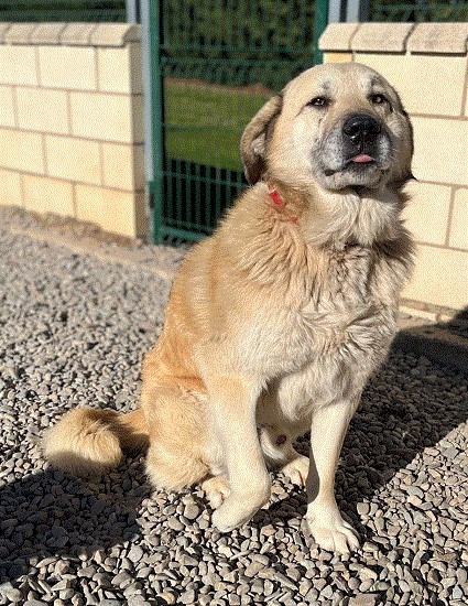 Cuaderno de campo tweet media