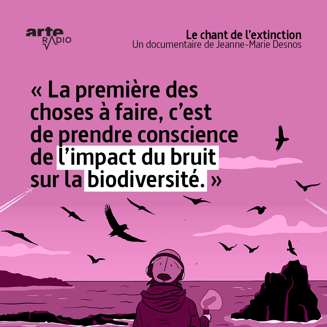 Petit conseil écologique en passant : parce que le boucan de l’homme cause le néant de la nature.
👉arteradio.com/son/61691841/l…