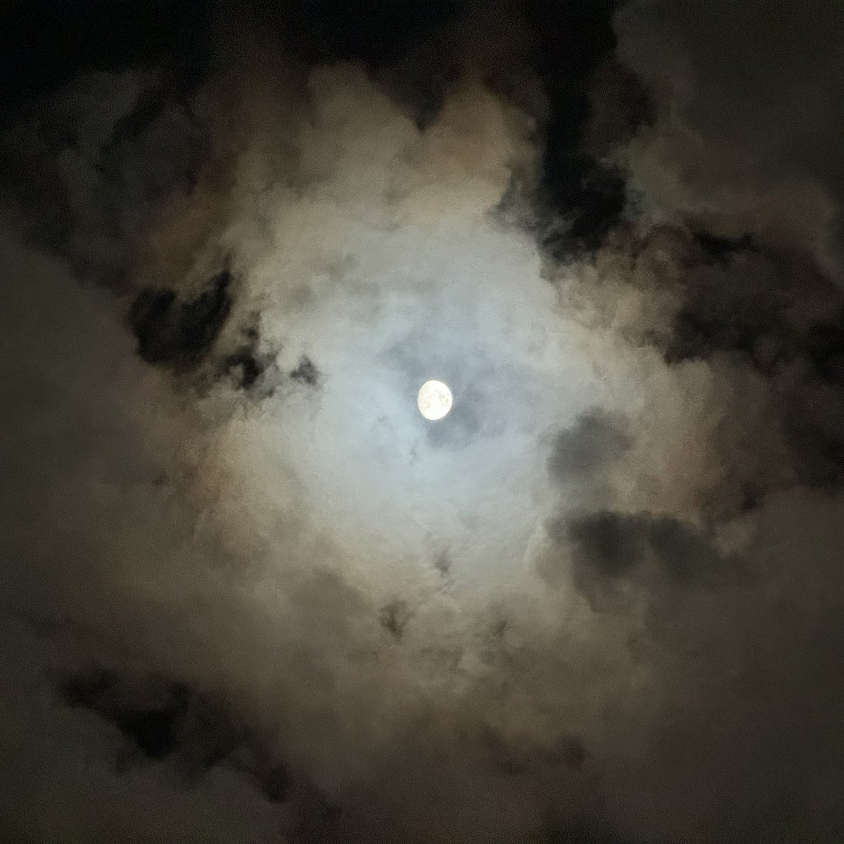 zeta_orionis3's tweet photo. 今宵の月🌔
ひつじ雲が頻繁に通過しており記念撮影のみ
月の高度が高くなりベランダからは限界😅
#イマツキ #SC001 https://t.co/dfUf0Ct0P9