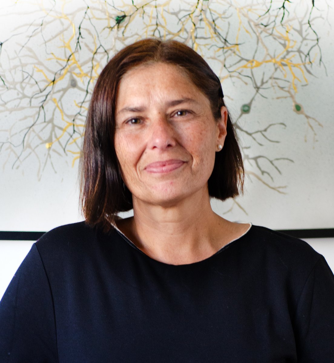 Instituto de Neurociencias UMH-CSIC (@neuroalc) on Twitter photo 🔥A new study co-led by @LabEherrera at <a href="/NeuroAlc/">Instituto de Neurociencias UMH-CSIC</a> & <a href="/marcotrizzino/">Marco_Trizzino Lab</a> at <a href="/imperialcollege/">Imperial College London</a> is now published on <a href="/AJHGNews/">AJHG</a>🙌
They have uncovered a key link in the genetic communication of craniofacial development.
More info 👇
in.umh-csic.es/en/articulos/a… 🔥A new study co-led by @LabEherrera at <a href="/NeuroAlc/">Instituto de Neurociencias UMH-CSIC</a> & <a href="/marcotrizzino/">Marco_Trizzino Lab</a> at <a href="/imperialcollege/">Imperial College London</a> is now published on <a href="/AJHGNews/">AJHG</a>🙌
They have uncovered a key link in the genetic communication of craniofacial development.
More info 👇
in.umh-csic.es/en/articulos/a…