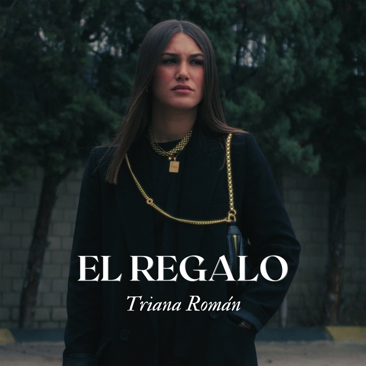 Música En Todo Su Esplendor tweet media