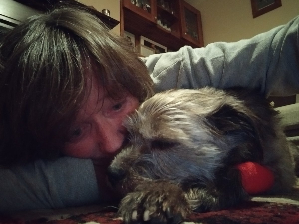 Dolly Wally tweet media