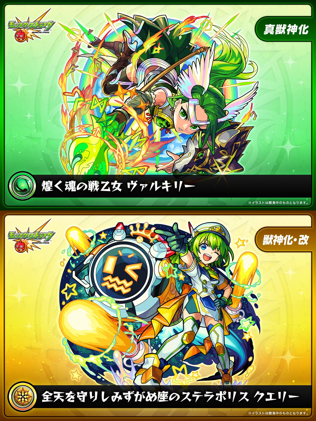 か*き様 B14253★オークション販売★ユーフォルビア 極上モンスト株！ 大特 B14253☆オークション販売☆ユーフォルビア 極上モンスト株！ 大