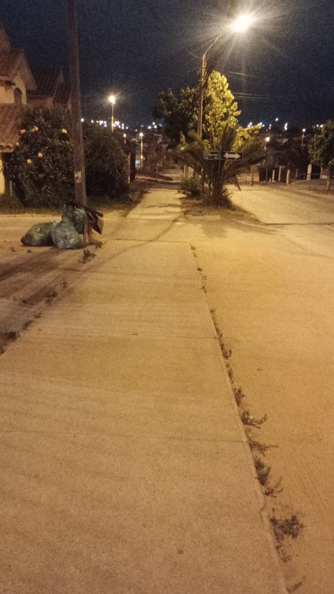 AlejandroUSD's tweet photo. 5:30 am . Y la mayoría en cama aún . https://t.co/ttjJxBfSS8