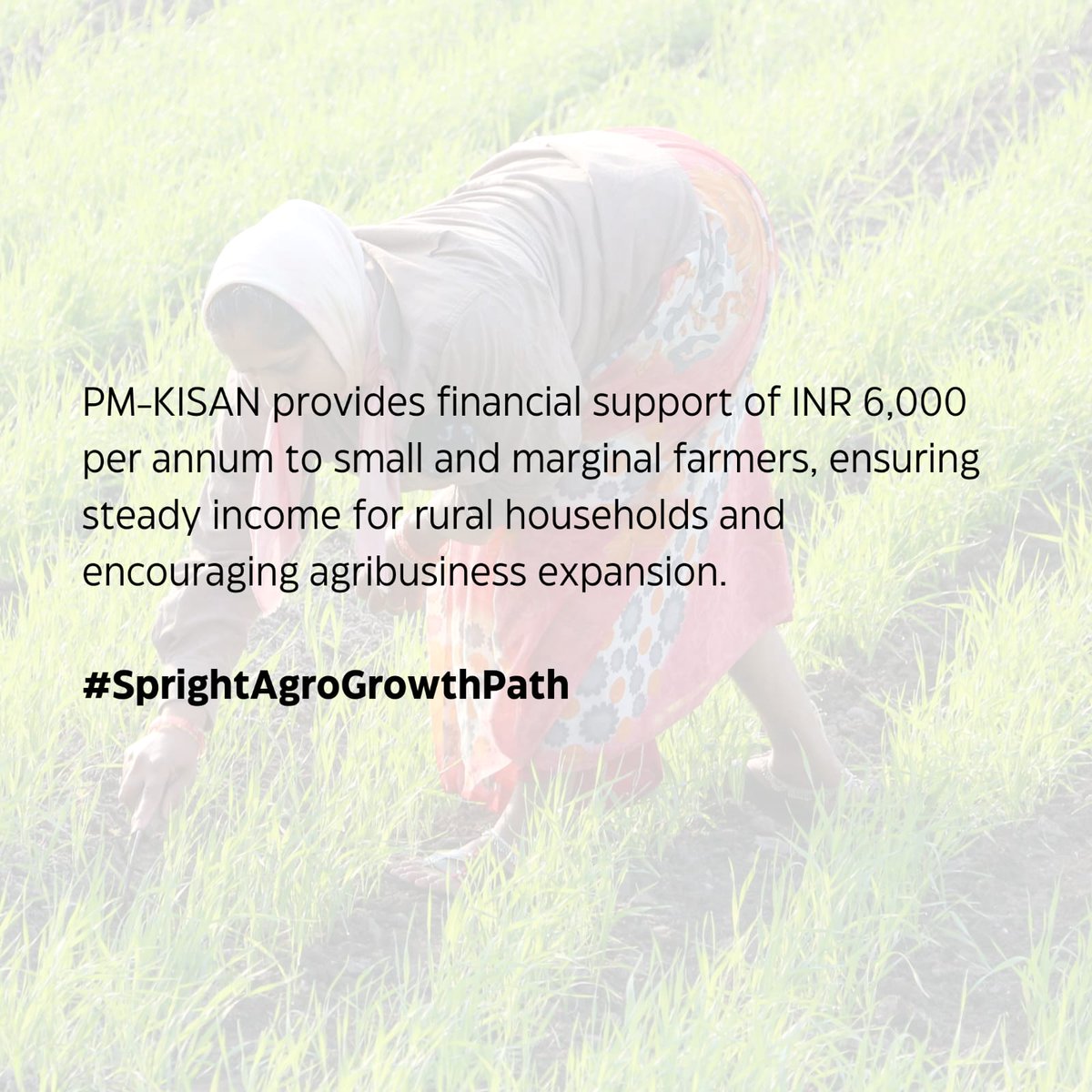 By optimizing it's financial Operations, I'm very much excited 
#SprightAgroGrowthPath