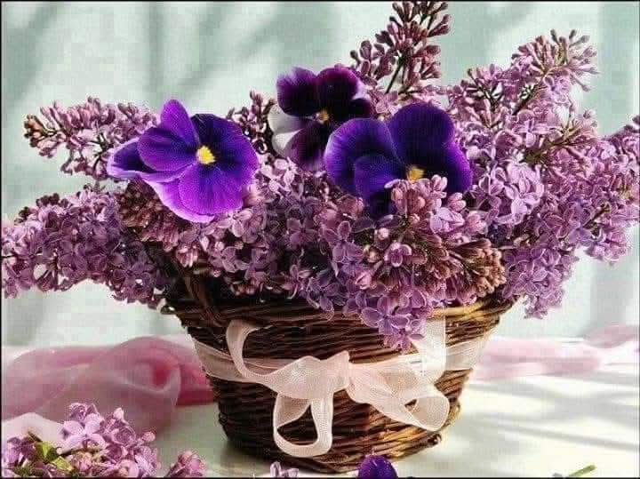 🧿 ''İyi ki var " dediklerimiz yanımızda, 
"Keşke hiç olmasıydı "dediklerimiz uzağımızda, “Hep olsa" dediklerimiz kalbimizde olsun...
 Günaydınlar..İyi günler diliyorum.