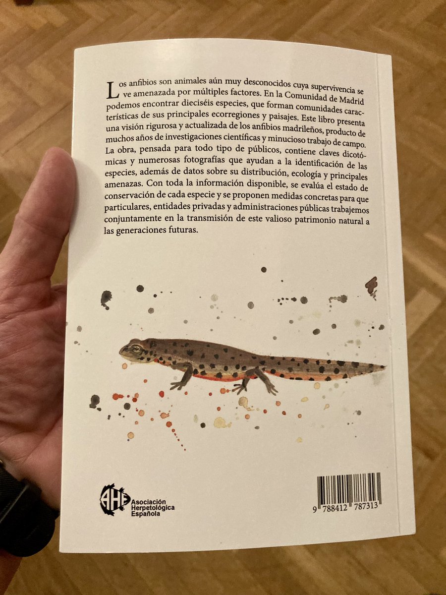 Se vienen cositas…<a href="/herpetologica/">AHE</a> <a href="/mncn_csic/">Museo Nacional de Ciencias Naturales</a> <a href="/Linternido/">Carlos Caballero Díaz</a>