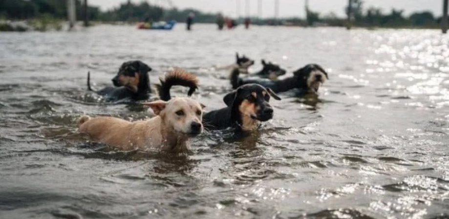 Your regular reminder that Russia blew up the Kakhovka dam