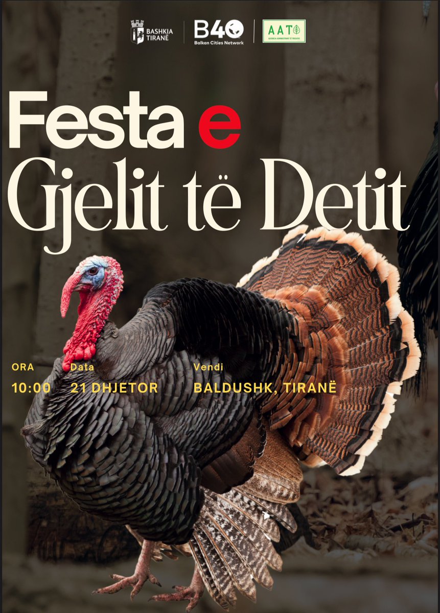 Festa e Gjelit po afron ⏳, një simbol i traditës dhe natyrës së bukur të Baldushkut. Shihemi në 2️⃣1️⃣dhjetor, me shumë aktivitete dhe surpriza, teksa do të keni mundësi të zgjidhni edhe gjelin, si një nga ushqimet tradicionale të festave të fundvitit🎄