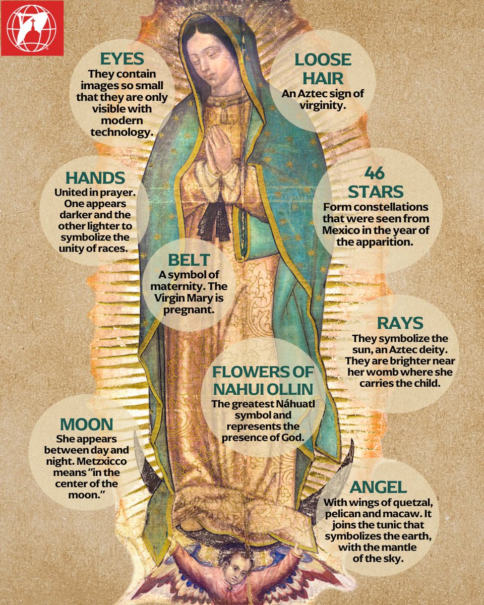 Every December 12, the Catholic Church celebrates Mary, the Mother of God, under one of the most popular and beloved titles in the world: Our Lady of Guadalupe.

Here are some details about her mantle and its profound message.

Did you know all these symbols?