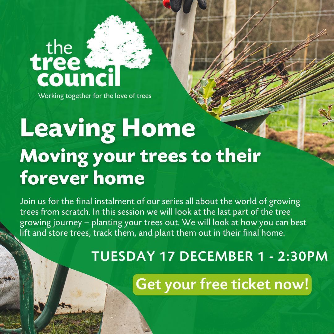 📢 Upcoming free webinar!

Leaving Home – moving your trees to their forever home

December 17, 1pm - 2:30pm

Join us for the final instalment of our series all about the world of growing trees from scratch. In this session we will look at the last part of the tree growing