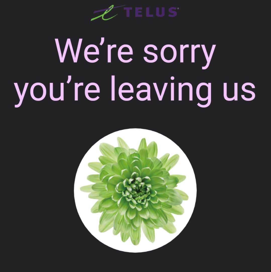 calichebahada's tweet image. Oh, you are not though. Or you would have honoured the agreed upon terms of our new deal. Literally 30 years loyalty and you offered nothing. Byeeee! #telus #sucks $T