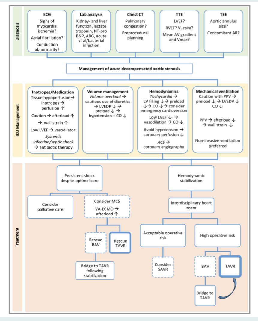 Enzo Lüsebrink (@eluesebrink) on Twitter photo Thrilled to share our latest contribution to the EJHF: Management of acute decompensated valvular heart disease
<a href="/j_hausleiter/">jörg hausleiter</a> <a href="/thiele_holger/">Holger Thiele</a> <a href="/PhilippLurz/">Philipp Lurz</a> <a href="/FabienPraz/">Fabien Praz</a> <a href="/escardio/">European Society of Cardiology</a> <a href="/ESC_Journals/">European Society of Cardiology Journals</a>
doi.org/10.1002/ejhf.3… Thrilled to share our latest contribution to the EJHF: Management of acute decompensated valvular heart disease
<a href="/j_hausleiter/">jörg hausleiter</a> <a href="/thiele_holger/">Holger Thiele</a> <a href="/PhilippLurz/">Philipp Lurz</a> <a href="/FabienPraz/">Fabien Praz</a> <a href="/escardio/">European Society of Cardiology</a> <a href="/ESC_Journals/">European Society of Cardiology Journals</a>
doi.org/10.1002/ejhf.3…